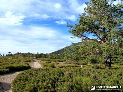 Siete Picos:Senda Herreros,Camino Schmid(Schmidt); senderismo y excursiones;rio jarama mapa